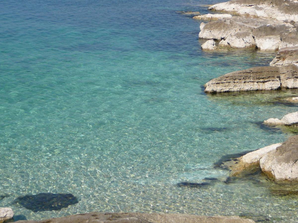Del Golfo