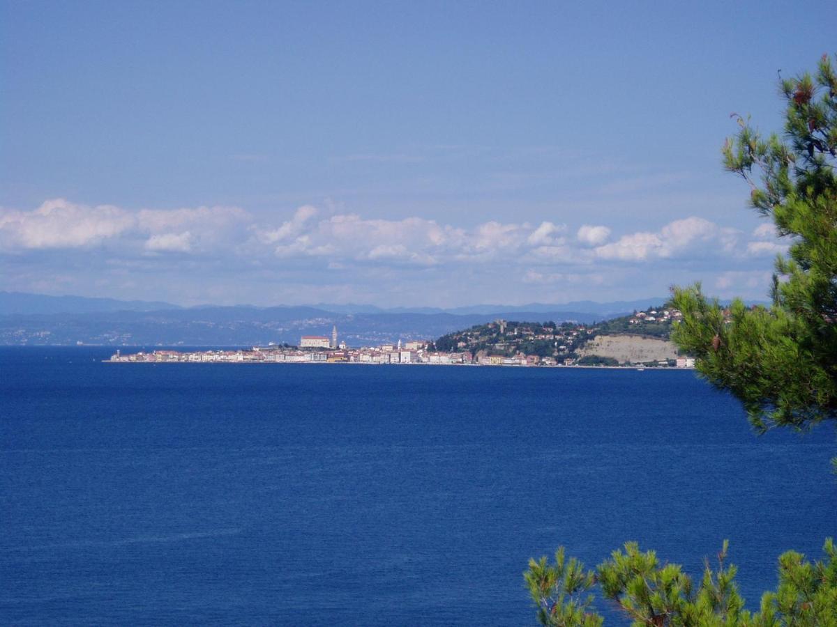 Del Golfo Apartment