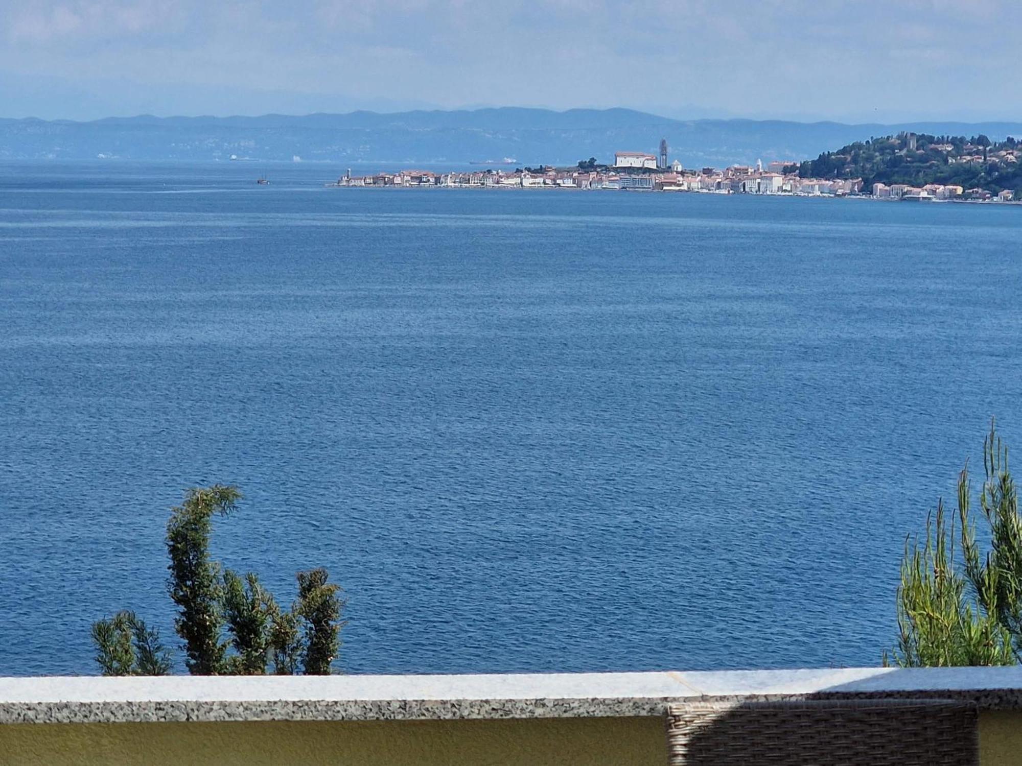 Del Golfo *