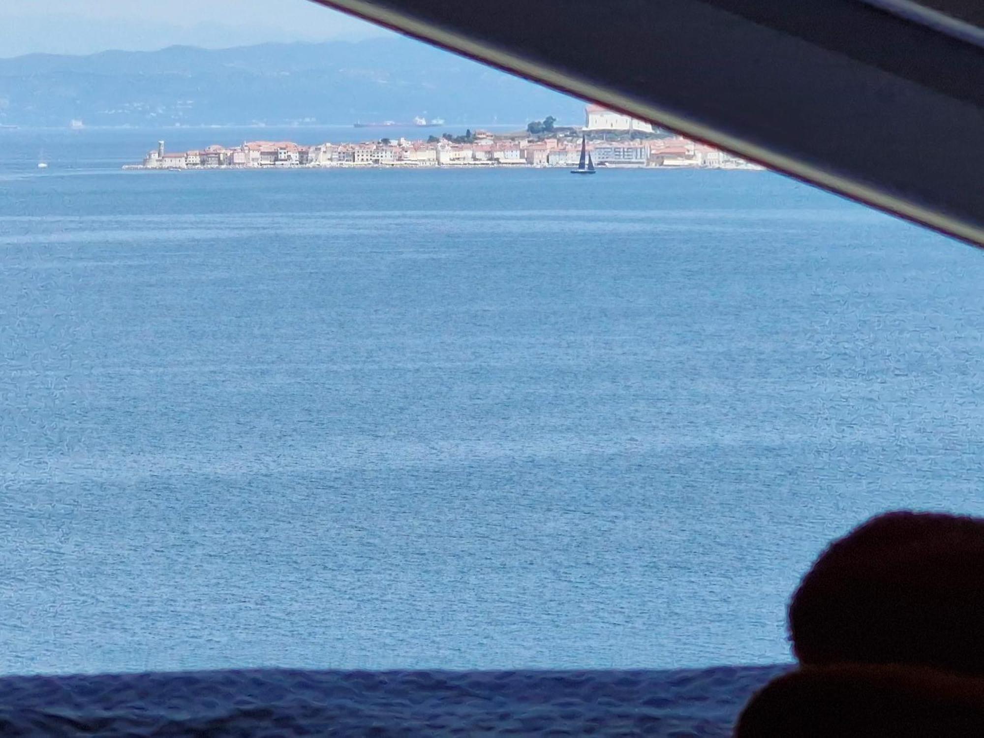 Del Golfo Savudrija