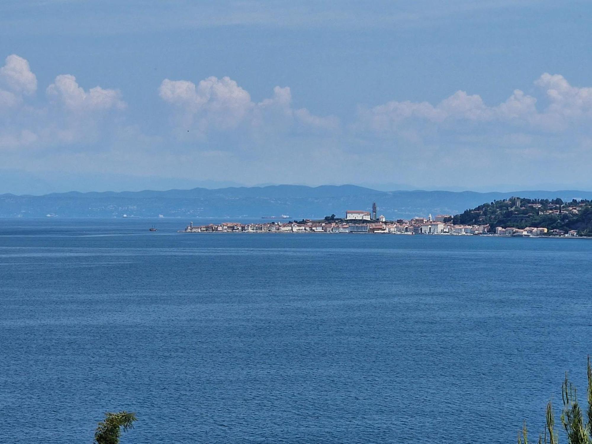 Del Golfo Apartment Savudrija