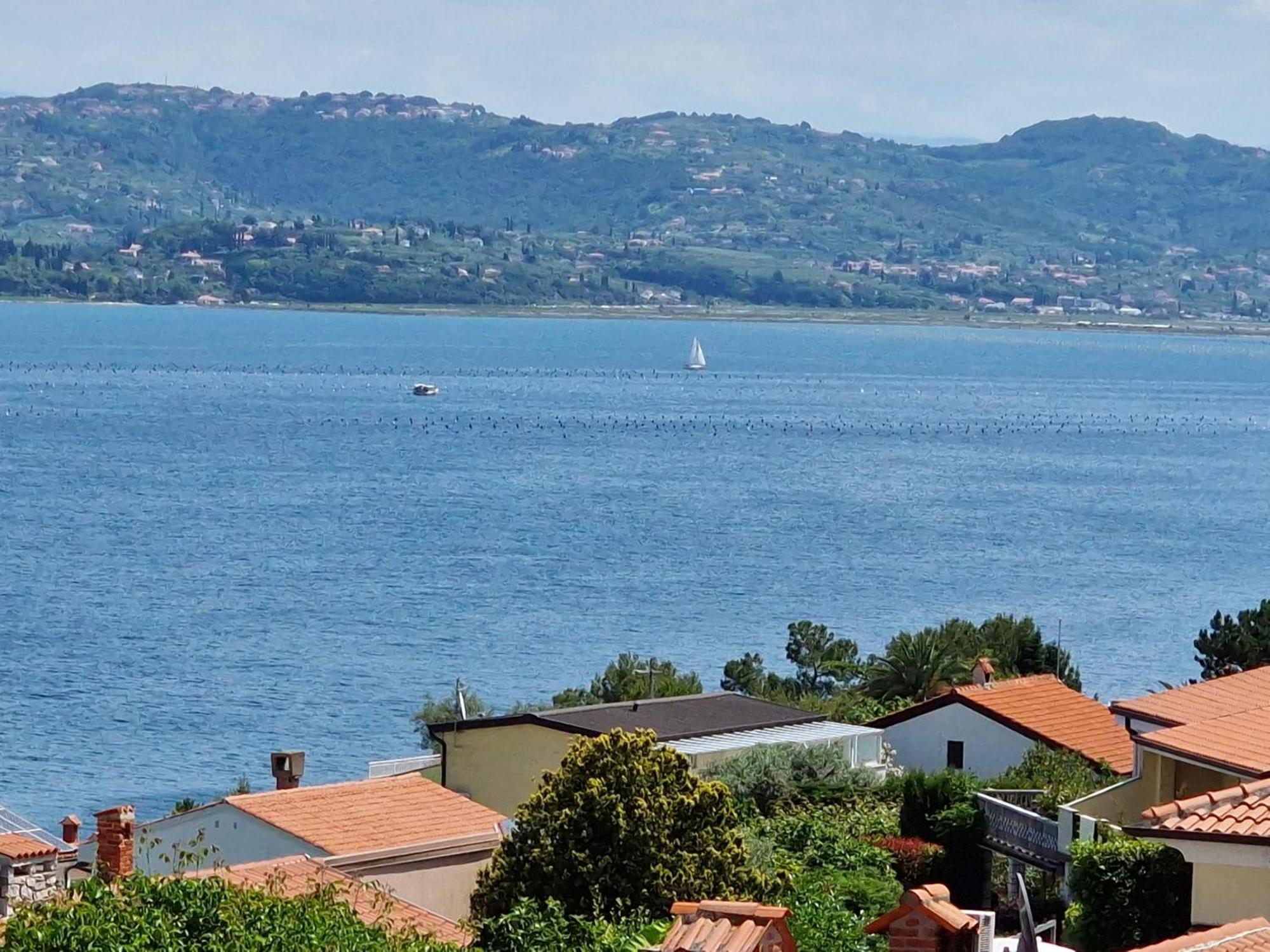 Del Golfo Apartment Savudrija