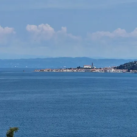 Villa Del Golfo Savudrija Exterior photo