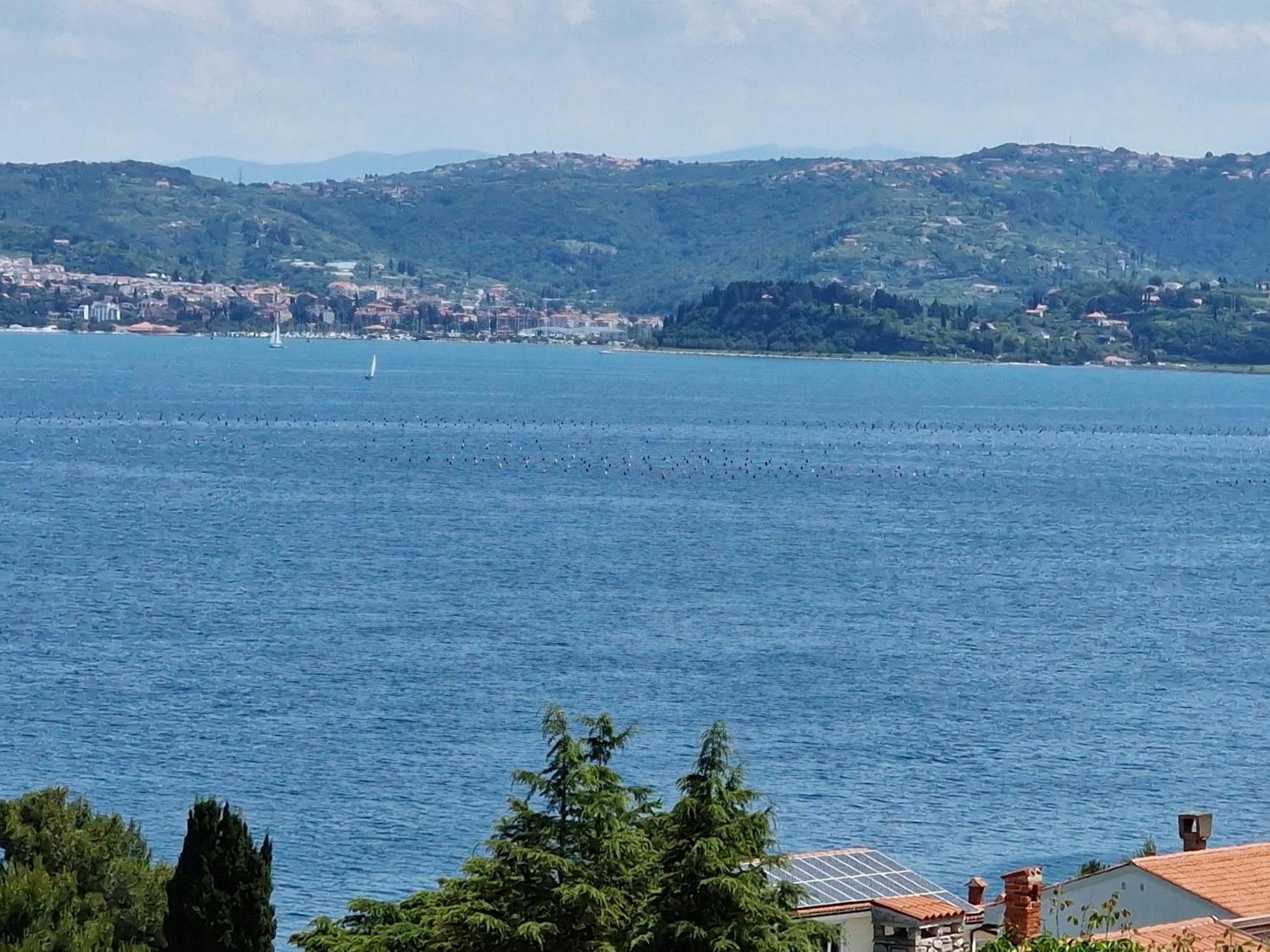Apartment Del Golfo